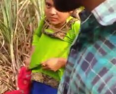 4nbdchh36lkj Desi Village Couple Outdoor Fucking Caught By Local People