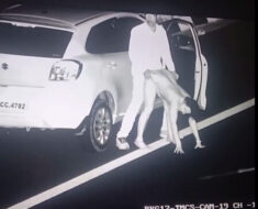 7zcjt3ty8zf0 Cpl caught Fucking in Cctv on highway