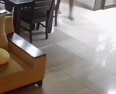 g5rvisyfl0dd CCTV LEAK UNSEEN (Part 2)